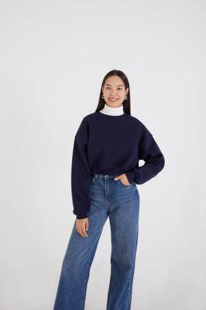 Raised Crew Neck Basic Sweatshirt