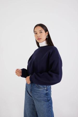 Raised Crew Neck Basic Sweatshirt